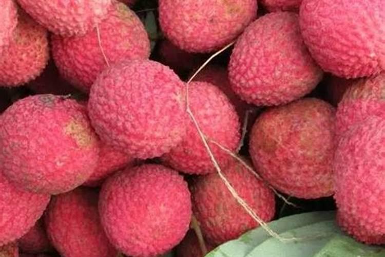 鱼蛋白水溶肥可以浇什么花？