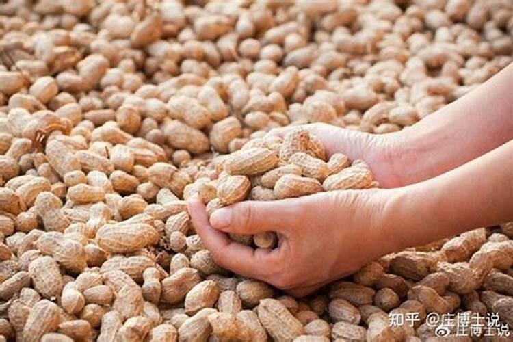 花生肥料最佳配方复合肥