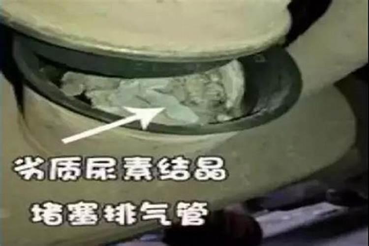 怎么才知道买的尿素是真是假？