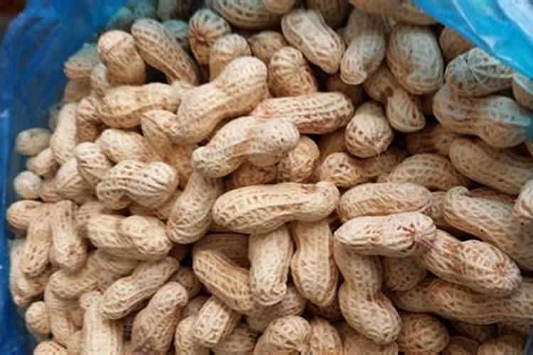 芒果催花方法 应使用什么药