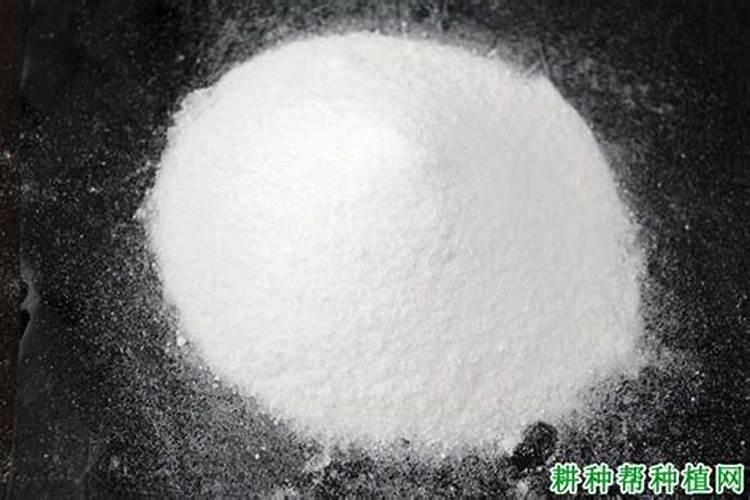 哪些食物含钾量高