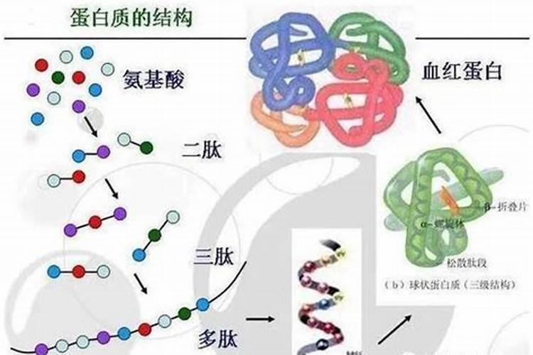 氨基酸水溶肥使用禁忌