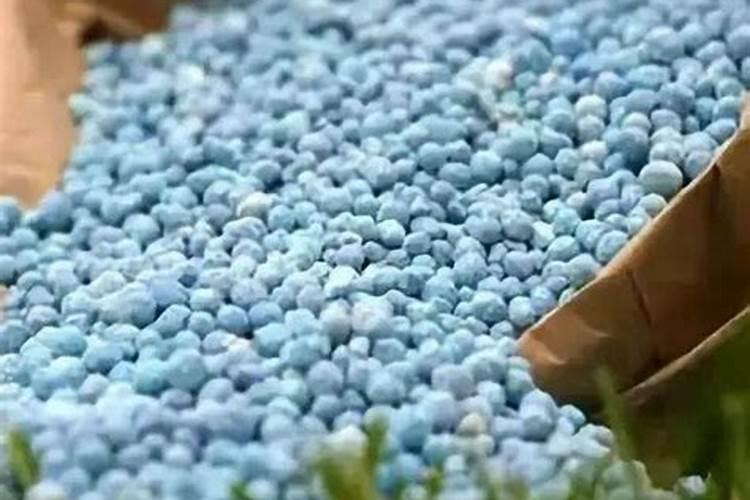 氮肥浇花多久一次 氮肥浇花需几天一次？