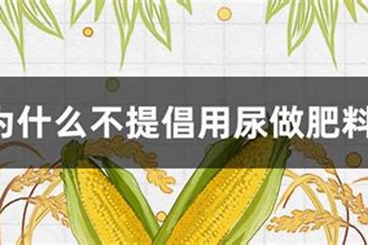 人尿是氮肥还是钾肥