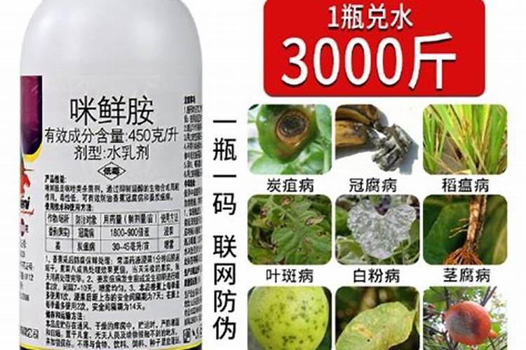 果树用什么杀菌剂