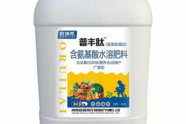 柑橘壮果肥什么时候下,用什么肥