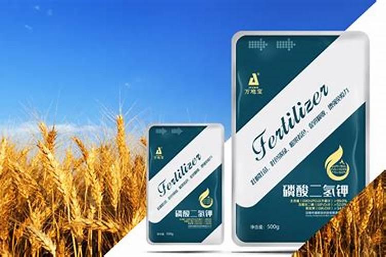 小麦三遍药什么时间打 最佳喷施时间