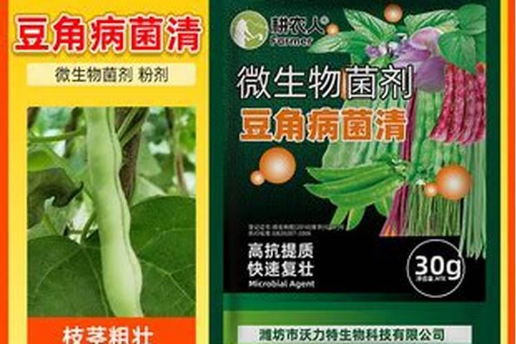 芸豆花期打什么叶面肥