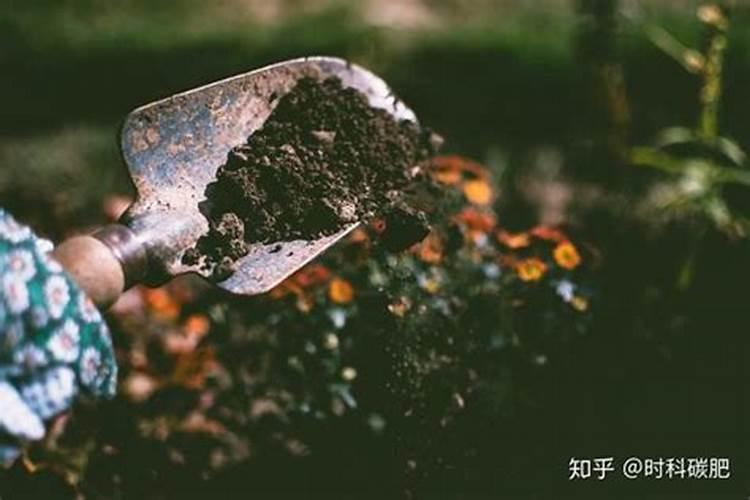 安徽省皖丰天下生物科技有限公司怎么样？