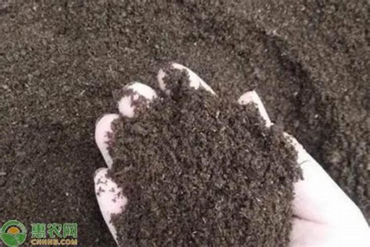鱼粪能做水草的肥料不