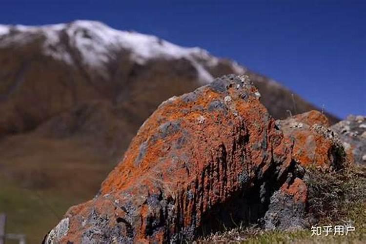 钙肥怎么改良土壤酸性