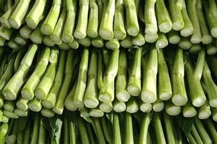 菜市场卖的紫菜苔是怎么种植出来的呢？
