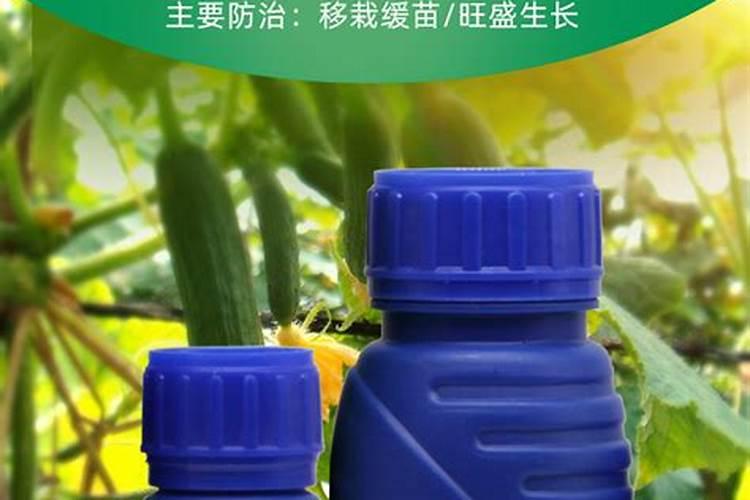 聂卫国工作简历