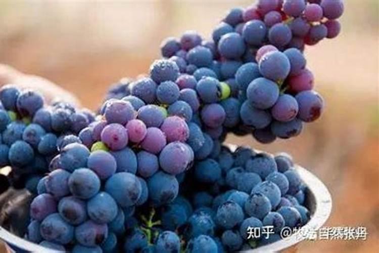 想要给葡萄补钾,用什么肥料比较好？