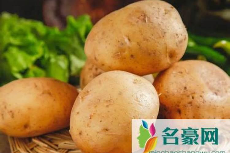 栀子花树可以和绿萝一起放在卧室吗？