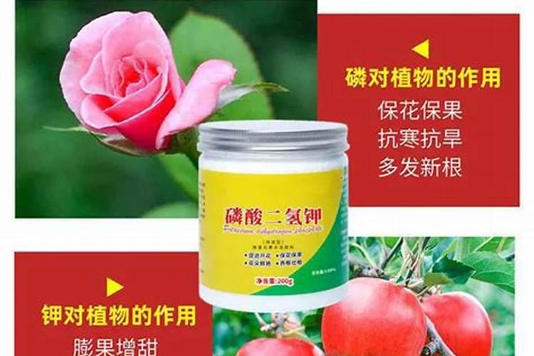 叶面肥哪个厂家最好