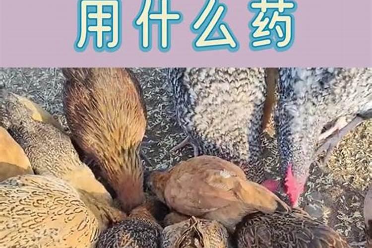 硼肥与什么叶面肥复配效果好？