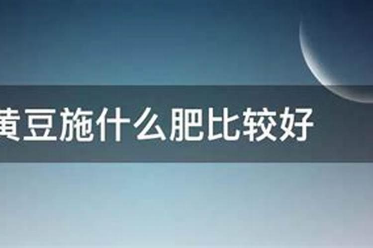 黄豆叶面肥什么时打合适