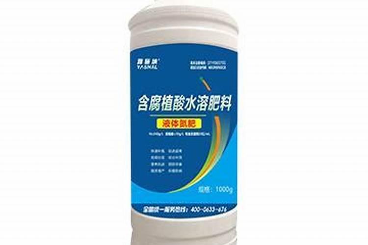 西葫芦种植注意事项有哪些