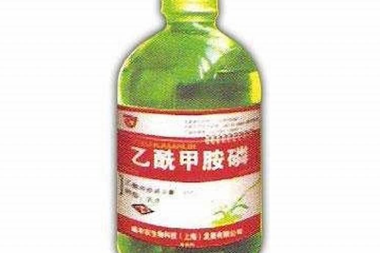 柿子苗栽完了缓过苗了可是不长和叶子答卷是怎么回事？