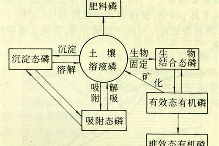 化肥检测