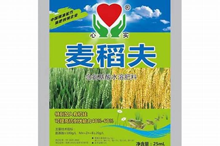 多肉施肥用什么肥料