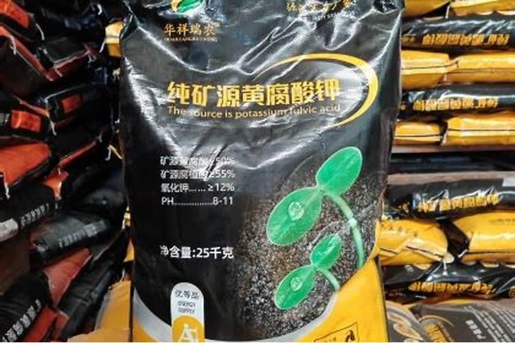 西红柿茎杆粗壮不彭果有什么办法