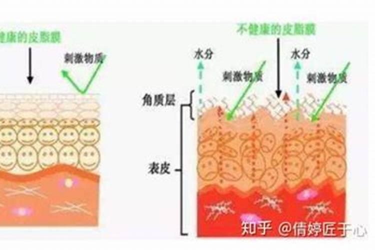 茄子最忌三种肥料