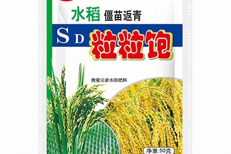 黄豆叶面肥什么时打合适,喷药有什么技巧