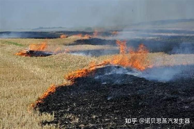 磷肥泡水可以浇花吗