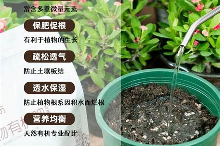 葡萄采收后怎么样施肥