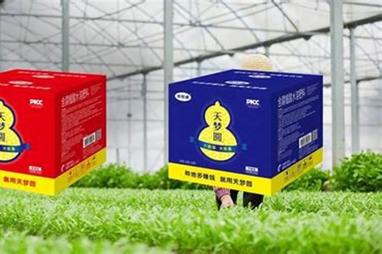 太子参几月种植最好？