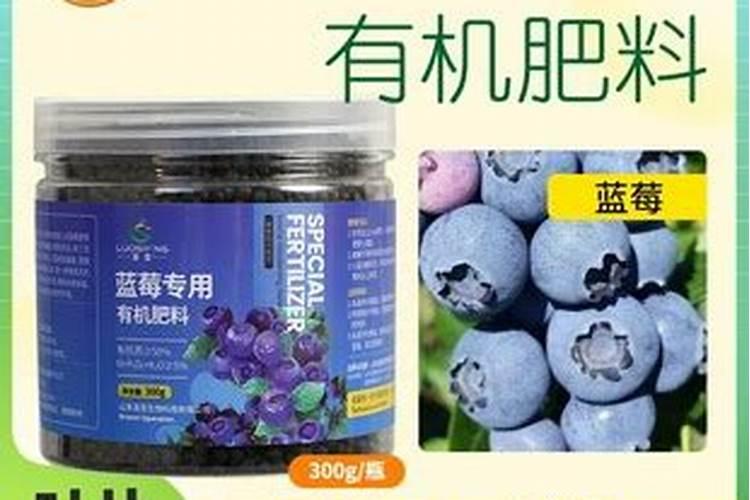 什么肥料对草莓的生长最为有利