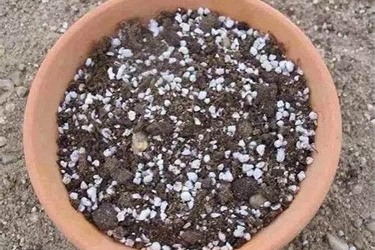 磷肥可以兑水浇花吗 磷肥对花卉的作用是什么