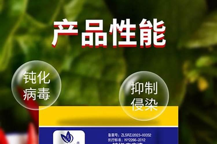 辣椒疫病特效药有哪几种