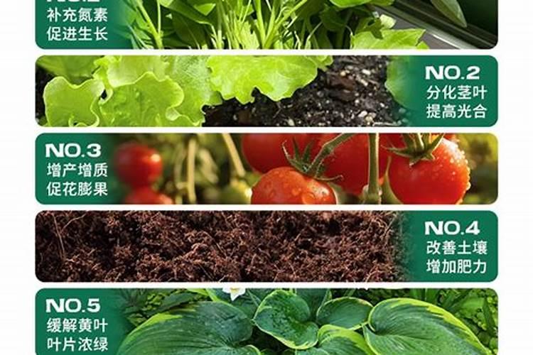 尿素能做水溶肥吗