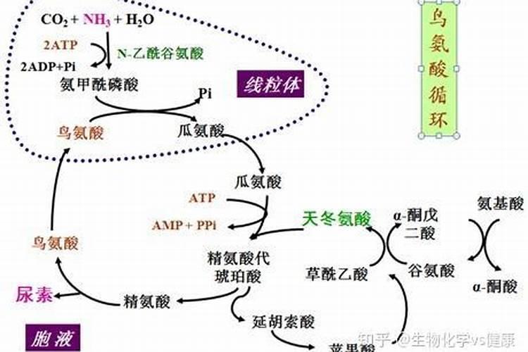 硝酸磷钾肥和尿素一起用水施肥好不