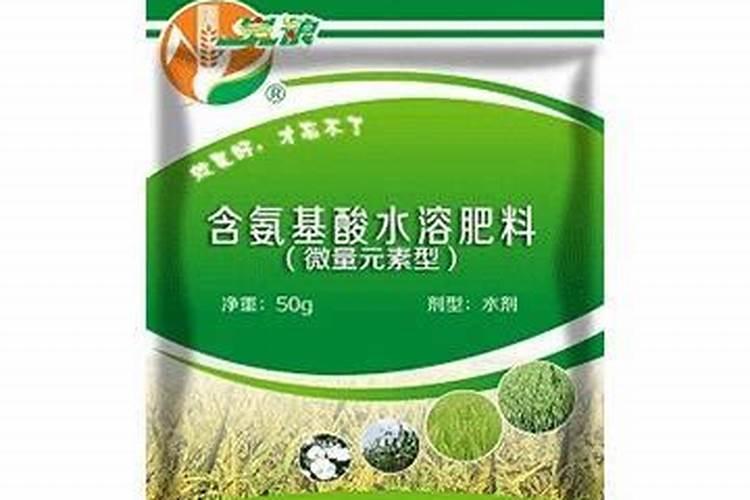 红葱头可以用剪刀把头先剪掉再放水里泡一天催芽吗