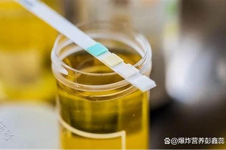 豆角哪时候施肥比较好 豆角什么时候施肥