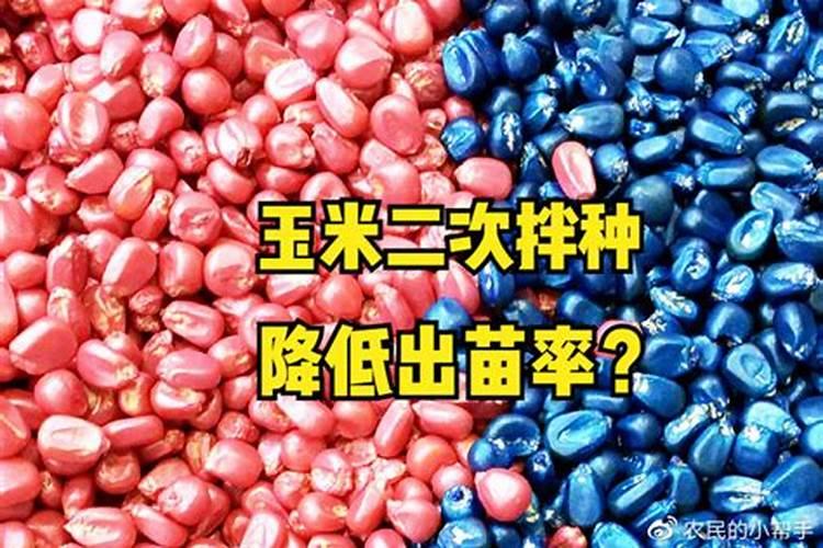 玉米大小苗使用氨基酸叶面肥有用吗