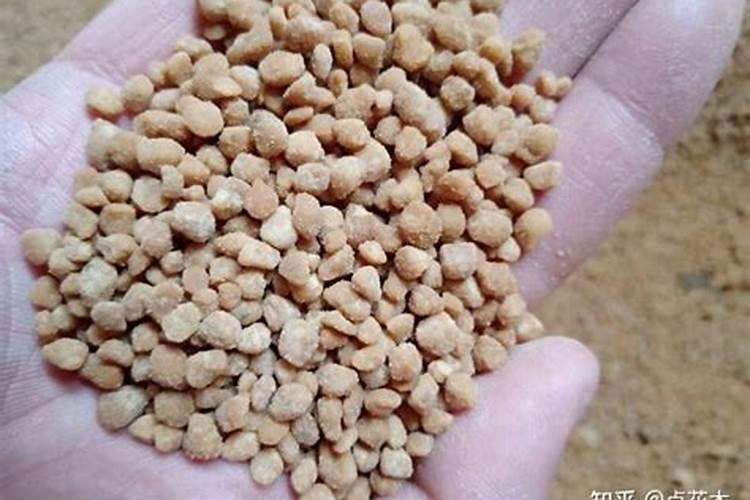 水溶性复合肥有哪些