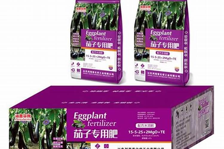 辣椒苗什么时候可以移栽 移栽时选大苗