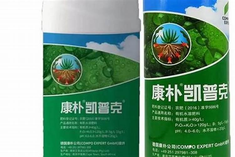 植物叶子油亮用什么肥(叶子油光发亮)