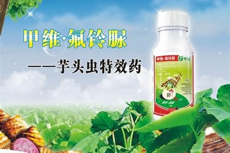 一斤啤酒、一斤红糖加上30克尿素,这三者混合能用来做什么？