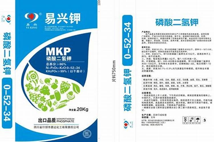 青叶吊兰怎么养长得快,让青叶吊兰疯长的五个技巧