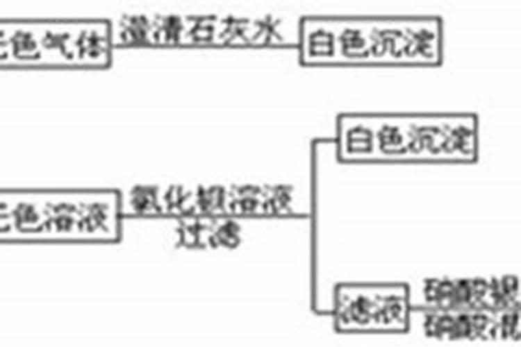 辣椒苗喷什么生根快