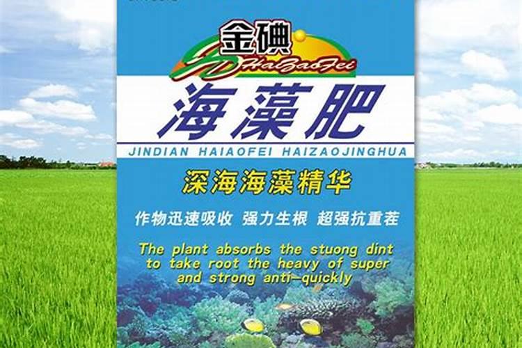 海藻液灌根浓度