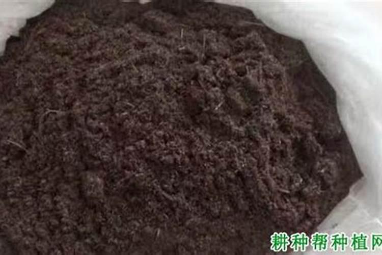 解除土壤中除草剂药害特效药