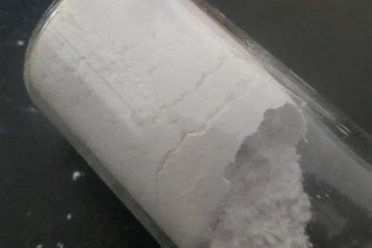 刺嫩芽怎么扦插能生根