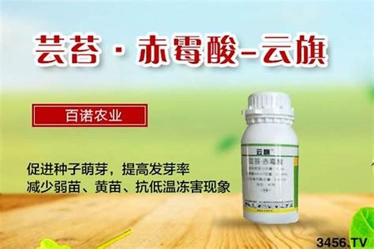 苄氨赤霉酸在脐橙上的使用方法